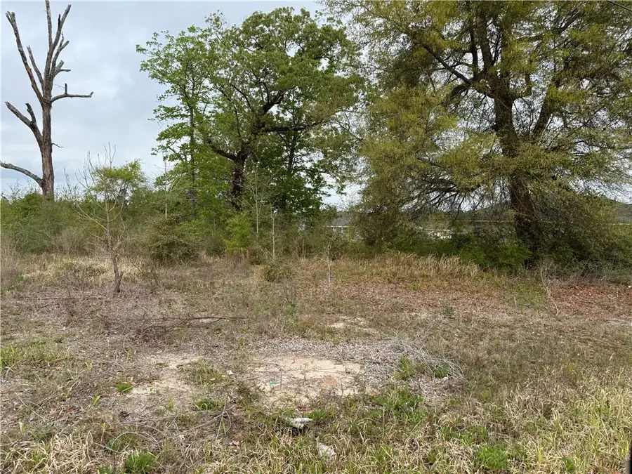 0 Chandler Court, Eight Mile, AL 36613 - #2