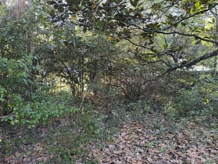 3716 Batre Lane, Mobile, AL 36608 - #1