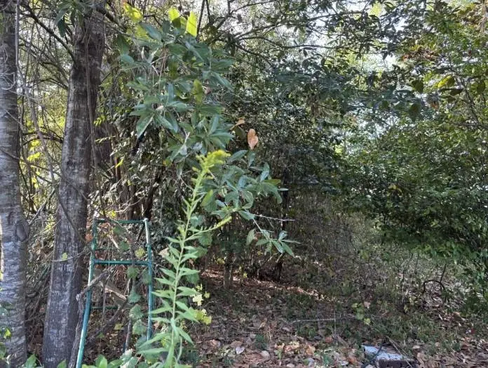 3716 Batre Lane, Mobile, AL 36608 - #2