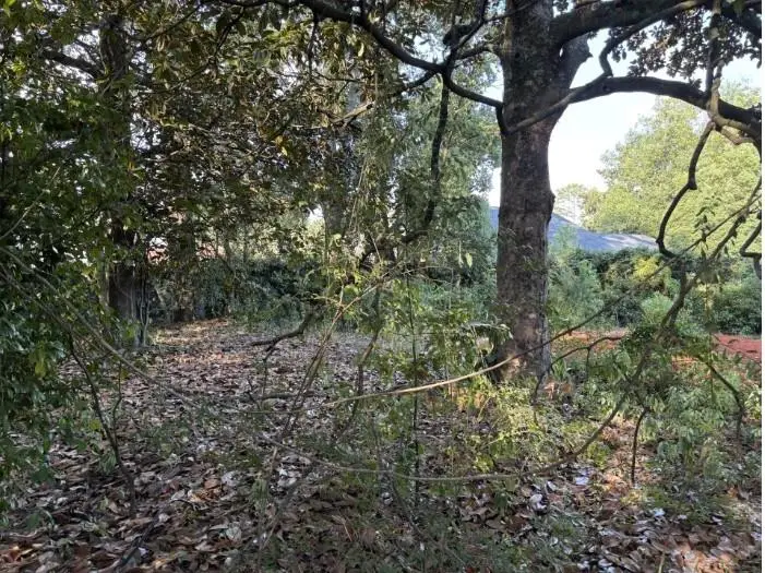 3716 Batre Lane, Mobile, AL 36608 - #3