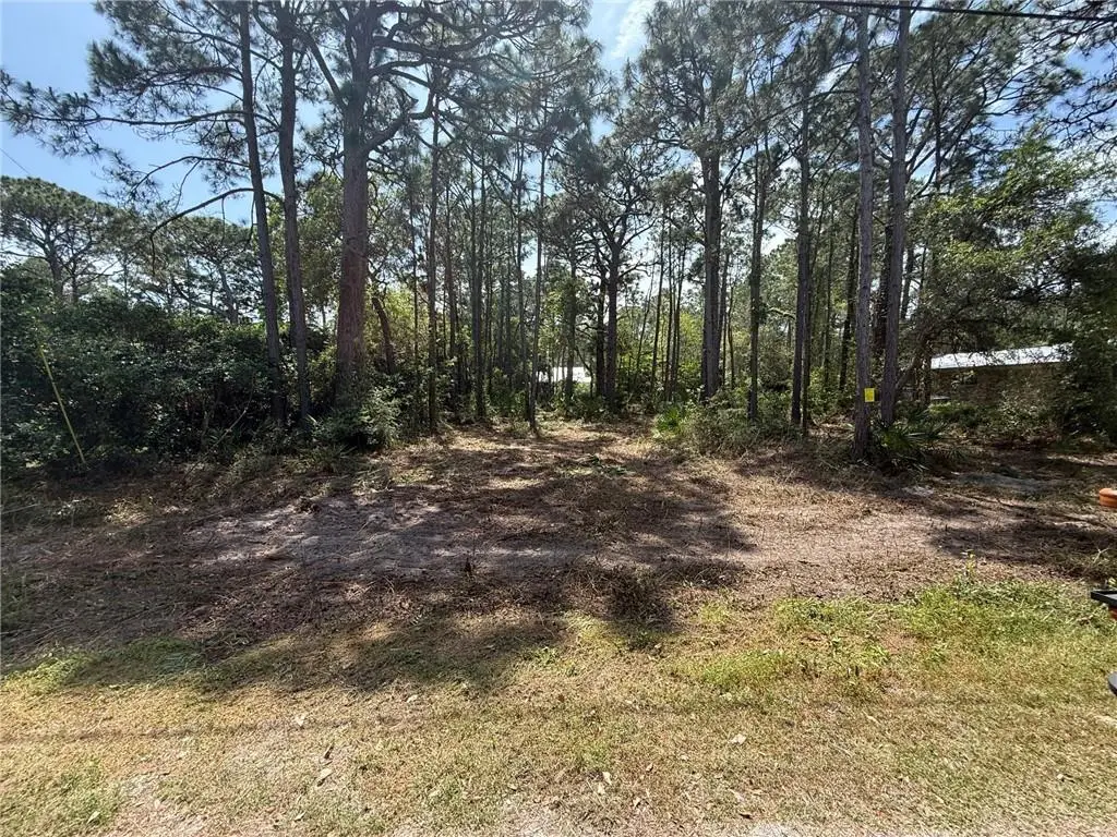 503 Fort Stoddard Place, Dauphin Island, AL 36528 - #1