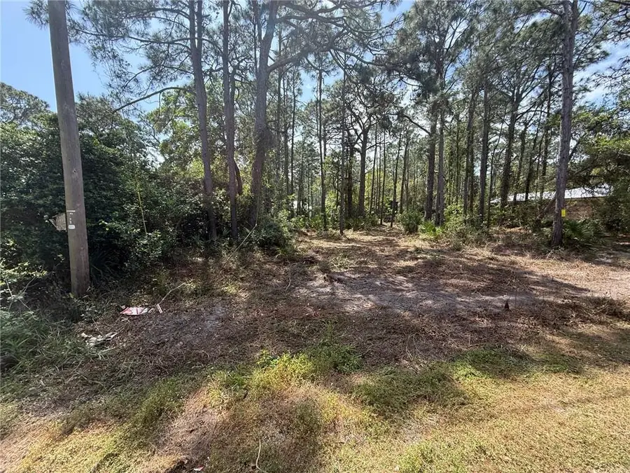 503 Fort Stoddard Place, Dauphin Island, AL 36528 - #3