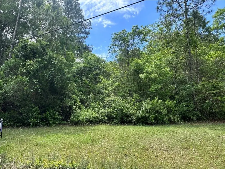 0 Bass Drive, Theodore, AL 36575 - #2