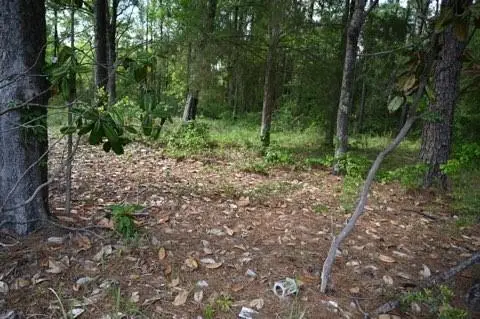 9176 Chunchula-georgetown Road, Chunchula, AL 36521 - #2