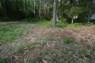 9176 Chunchula-georgetown Road, Chunchula, AL 36521 - #3