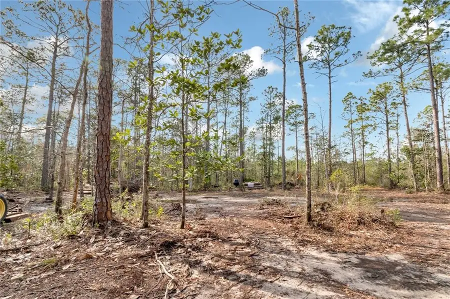 5250 Lossing Road, Coden, AL 36523 - #2