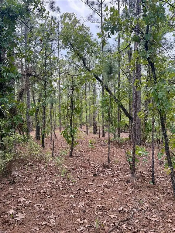 0 Longleaf Road, Citronelle, AL 36522
