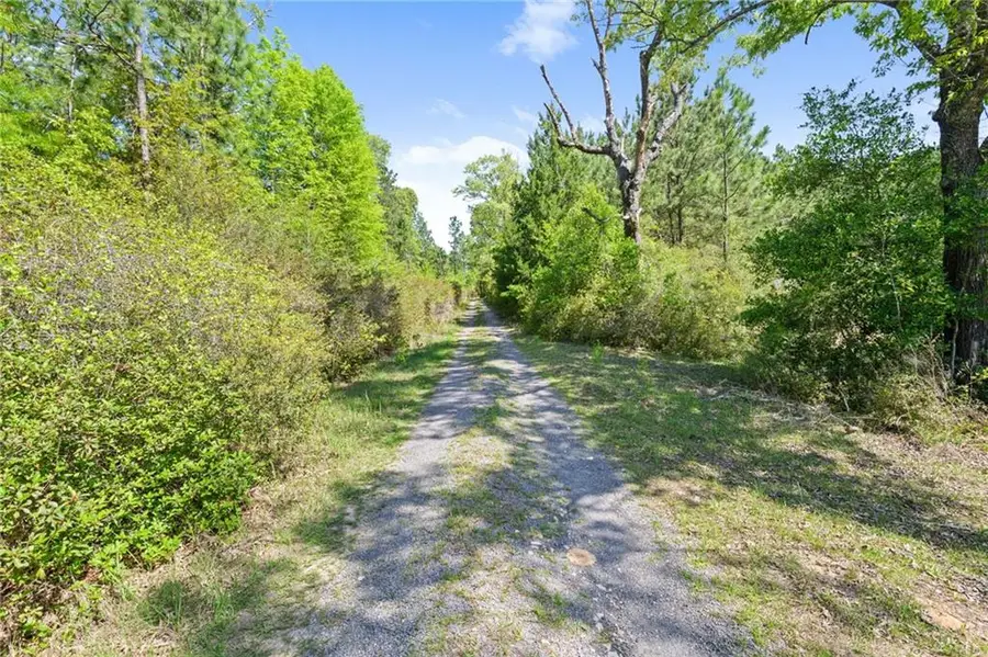 15690 Sandy Ridge Road, Chunchula, AL 36521 - #2