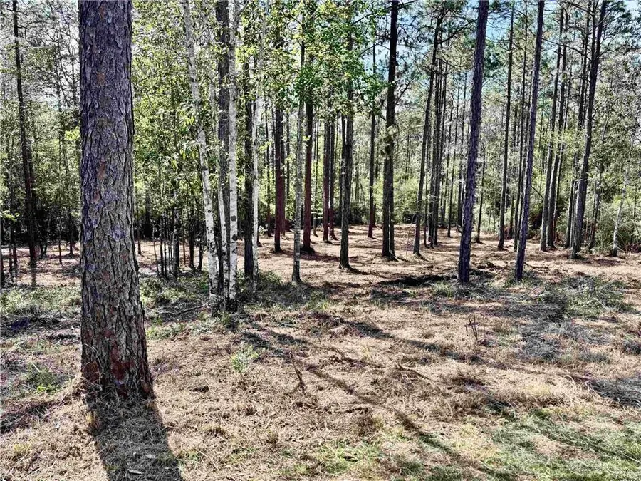 0 Steelwood Ridge Road, Loxley, AL 36551 - #2
