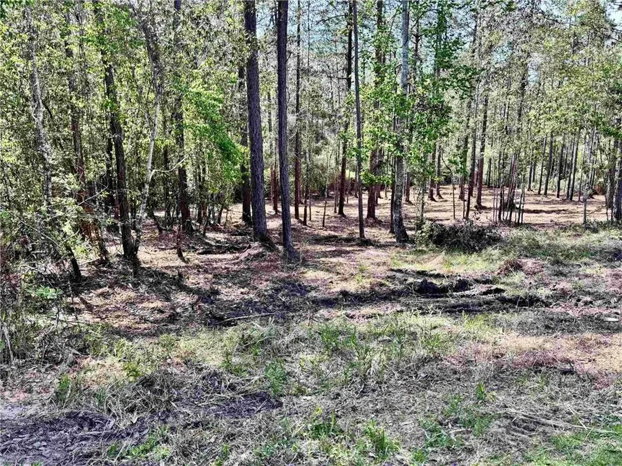 0 Steelwood Ridge Road, Loxley, AL 36551 - #3