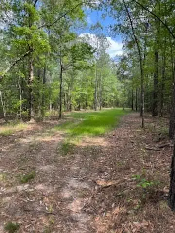 0 Gordy Road, Tibbie, AL 36583 - #1
