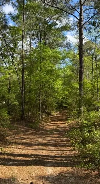 0 Gordy Road, Tibbie, AL 36583 - #2
