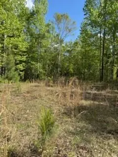 0 Gordy Road, Tibbie, AL 36583 - #3