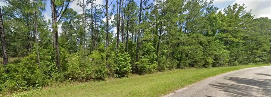 0 John Johnston Road, McIntosh, AL 36553 - #2