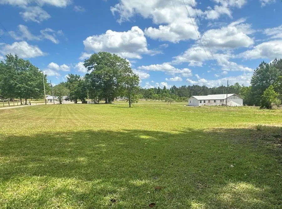 22023 Highway 45, Fruitdale, AL 36539 - #2