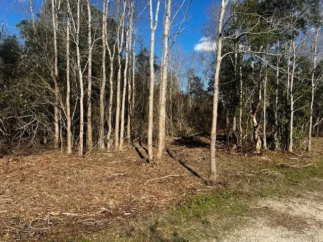 0 Bellingrath Road, Theodore, AL 36582 - #2