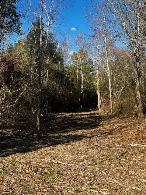 0 Bellingrath Road, Theodore, AL 36582 - #3