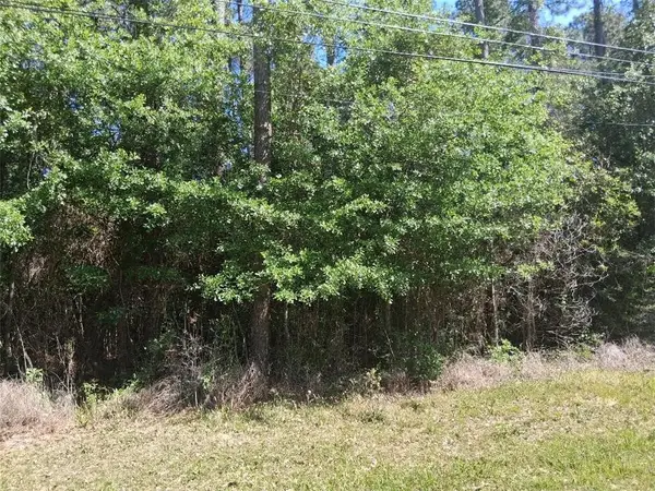 0000 Clearview Drive, Theodore, AL 36582