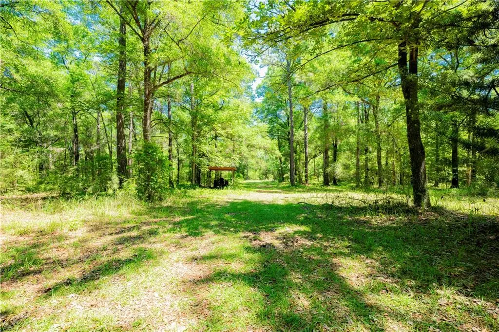 0 Howells Ferry Road, Wilmer, AL 36587 - #1