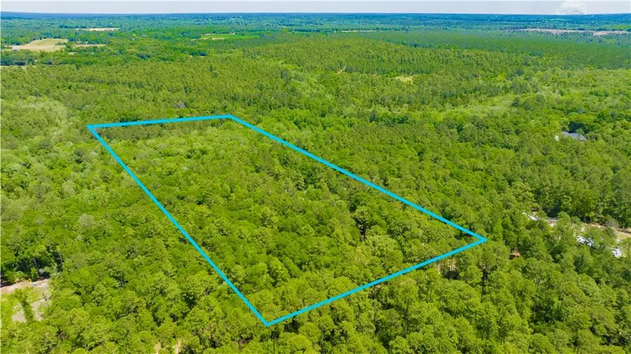 0 Howells Ferry Road, Wilmer, AL 36587 - #2