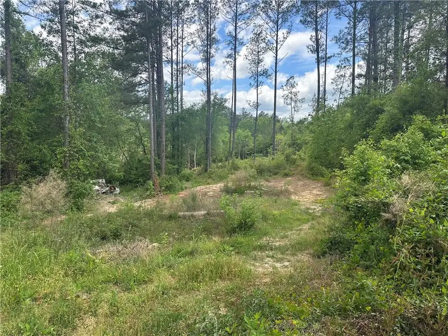 9775 Highway 45, Chunchula, AL 36521 - #2