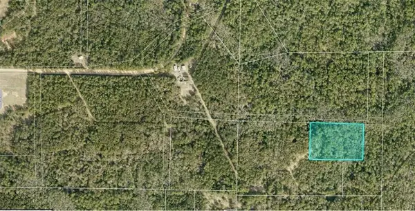 0 Pinecrest Cemetery Road, Citronelle, AL 36522