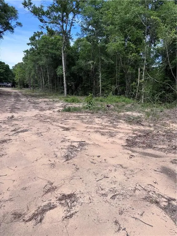 0 Salco Road, Chunchula, AL 36521 - #3