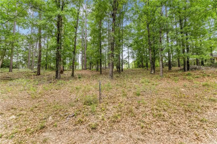 10835 Mitt Drive, Citronelle, AL 36522 - #2