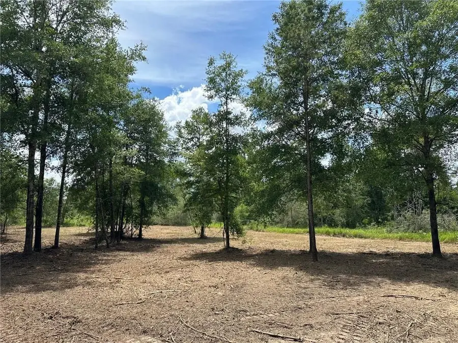 00 Newman Road, Mobile, AL 36695 - #3