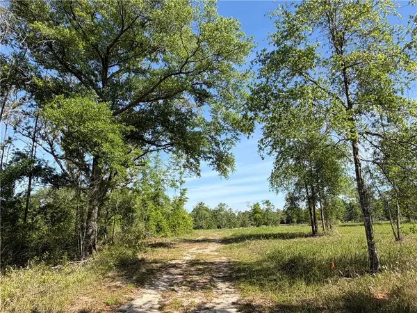 0 Sandy Creek Lane, Mobile, AL 36695