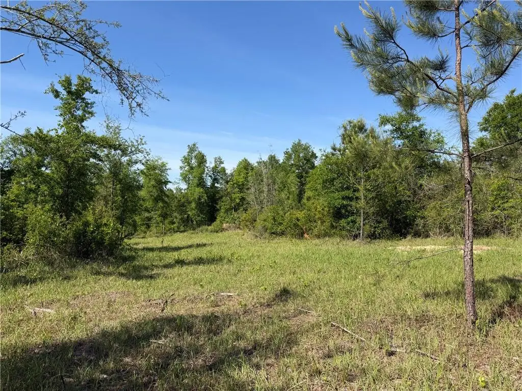 0 Sandy Creek Lane, Mobile, AL 36695 - #1