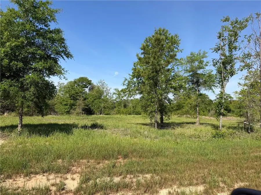 0 Sandy Creek Lane, Mobile, AL 36695 - #3