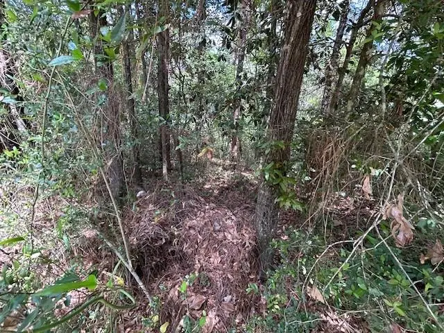 145 Donette Loop, Daphne, AL 36526 - #2