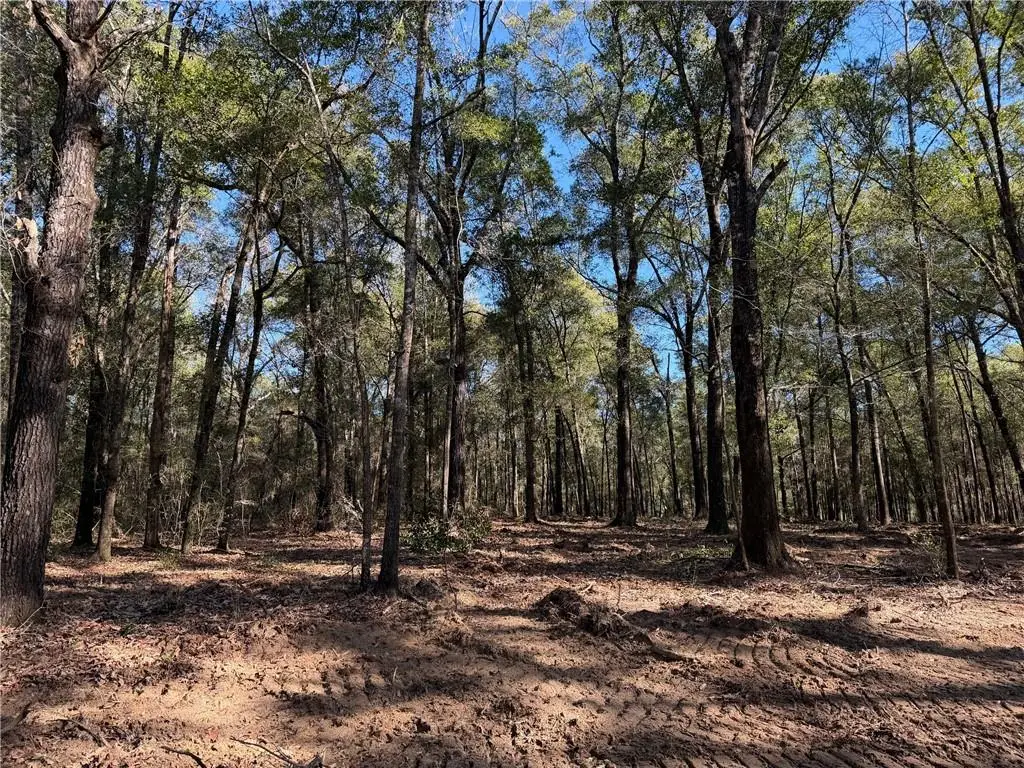 0 Danner Road, Wilmer, AL 36587 - #1