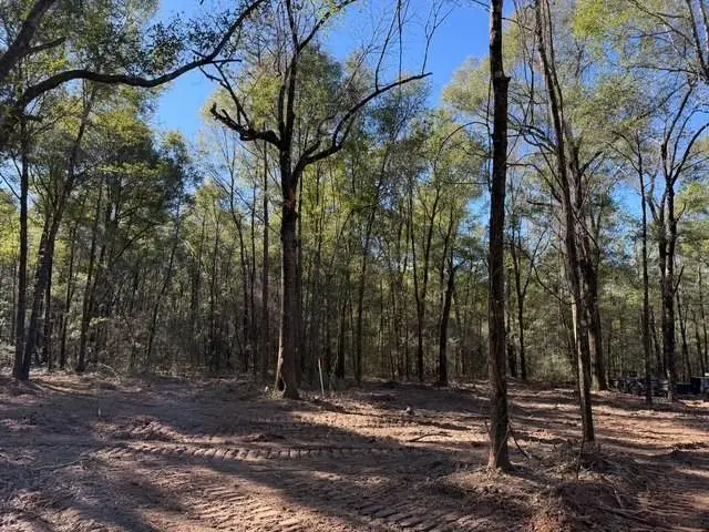 0 Danner Road, Wilmer, AL 36587 - #2