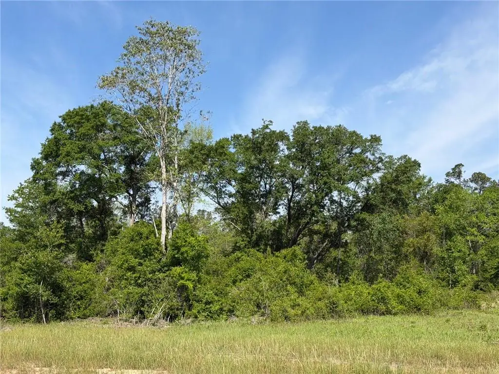 0 Sandy Creek Lane, Mobile, AL 36695 - #1