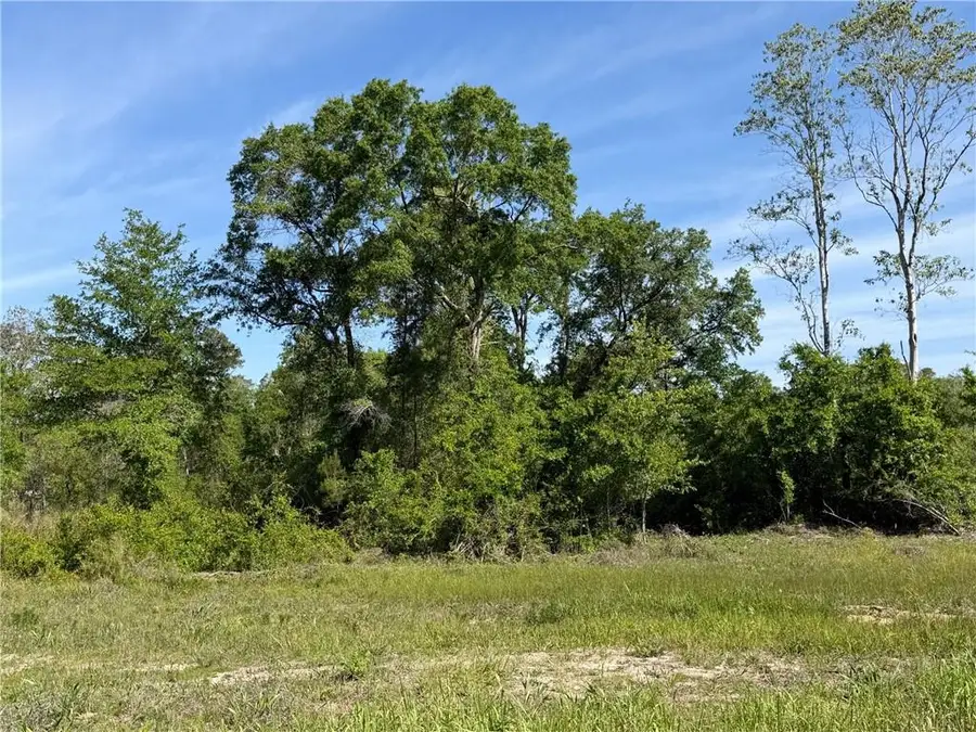 0 Sandy Creek Lane, Mobile, AL 36695 - #3
