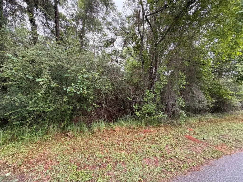0 Laco Cooper Road, Mobile, AL 36609 - #1