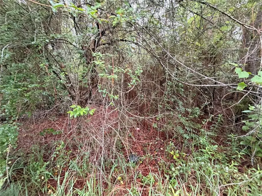 0 Laco Cooper Road, Mobile, AL 36609 - #3