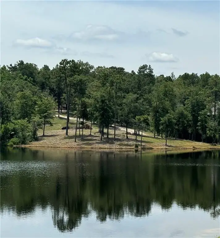 1150 Celeste Springs Drive, Saraland, AL 36571 - #2