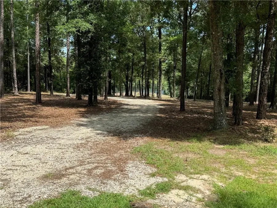 1150 Celeste Springs Drive, Saraland, AL 36571 - #3