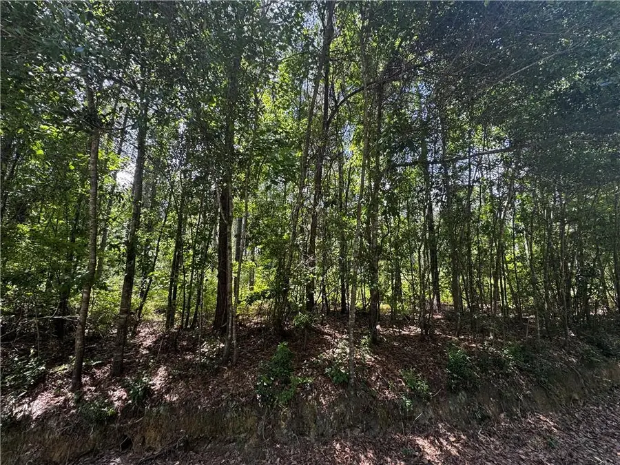 0 Jackson Street, Mount Vernon, AL 36560 - #3