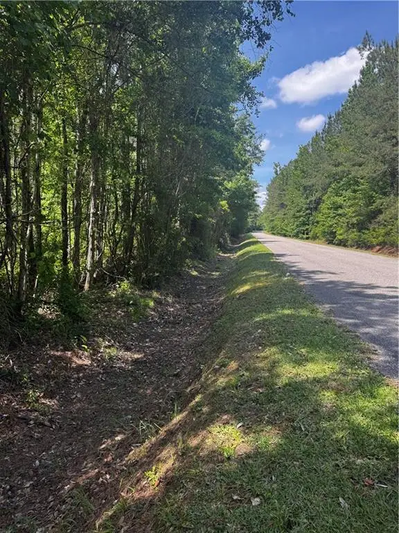 0 Jackson Street, Mount Vernon, AL 36560 - #2