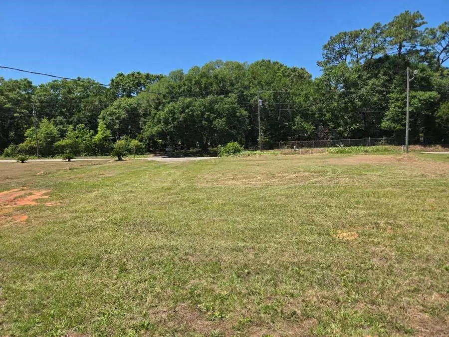12349 Potter Tract Road, Grand Bay, AL 36541 - #3