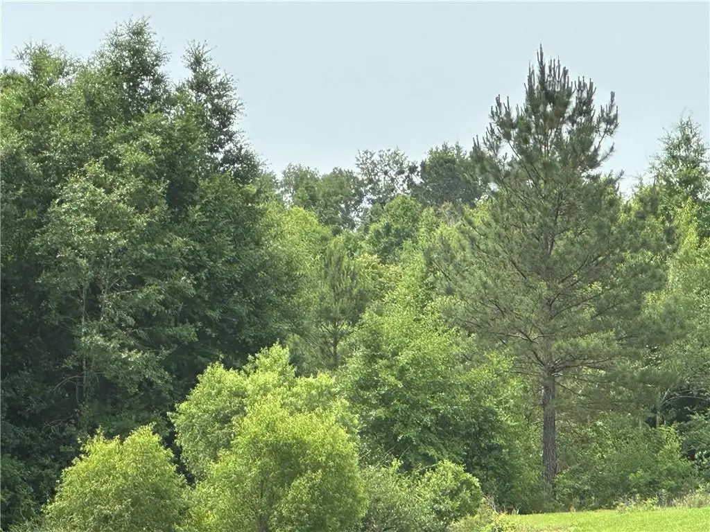 0 County Road 54 Road, Daphne, AL 36526 - #1