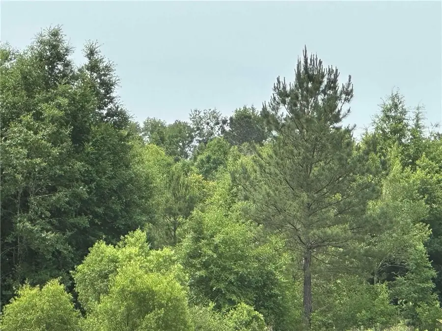 0 County Road 54 Road, Daphne, AL 36526 - #2