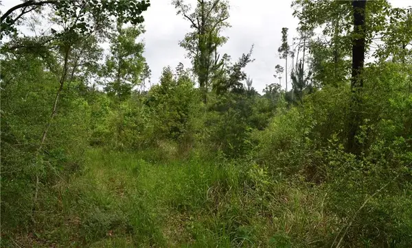 0 Mcgregor Road, Grand Bay, AL 36541