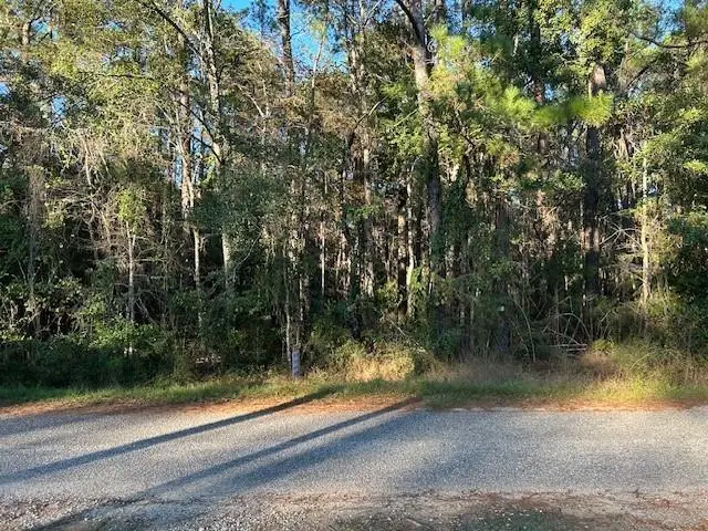 0 Bayou Road, Bayou La Batre, AL 36509 - #1