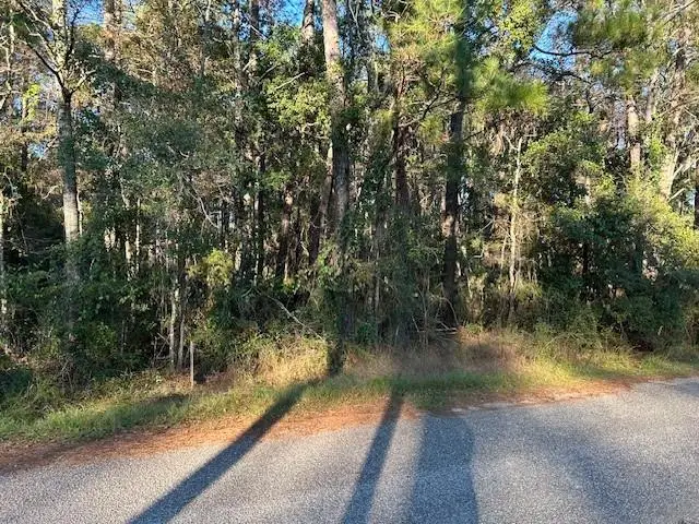 0 Bayou Road, Bayou La Batre, AL 36509 - #2