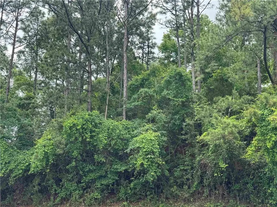 33586 Rosalia Avenue, Lillian, AL 36549 - #2